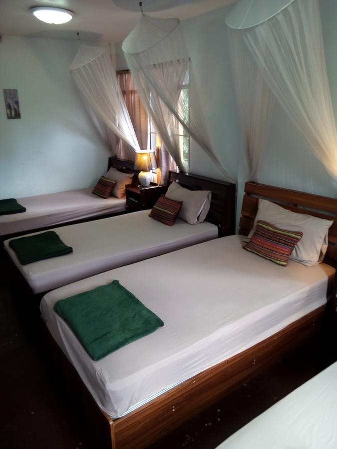 Twin House @ Tapae Hostel Chiang Mai Luaran gambar