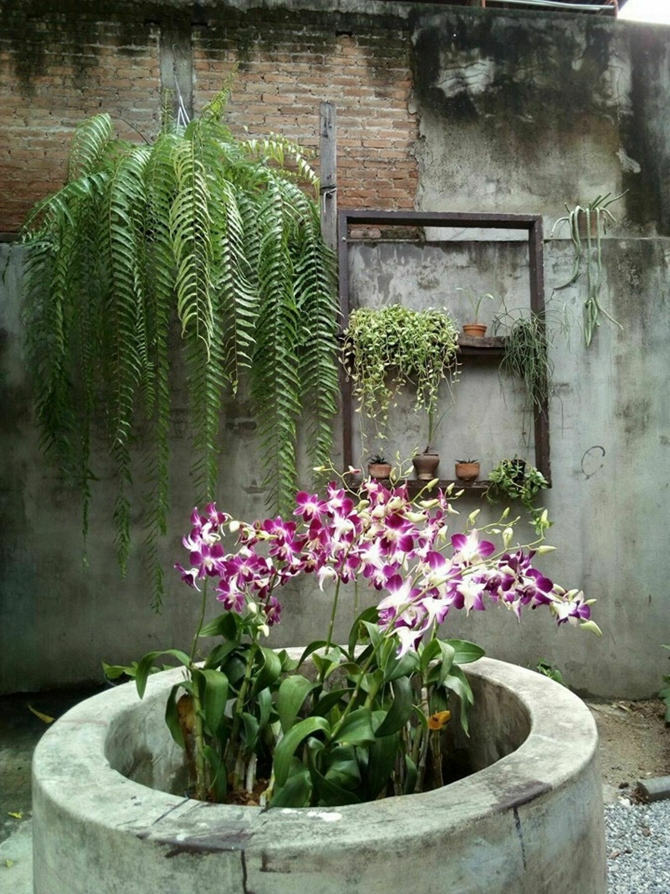 Twin House @ Tapae Hostel Chiang Mai Luaran gambar